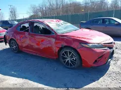 4T1S11AK5PU101061 2023 TOYOTA CAMRY
