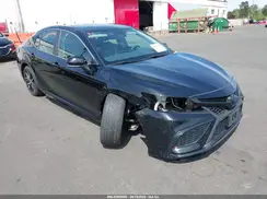 4T1S11AK5PU141009 2023 TOYOTA CAMRY