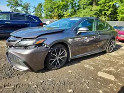 4T1S11AK8PU124205 2023 TOYOTA CAMRY