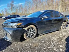 4T1S11AK8PU135608 2023 TOYOTA CAMRY