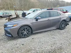 4T1S11AK8PU736730 2023 TOYOTA CAMRY