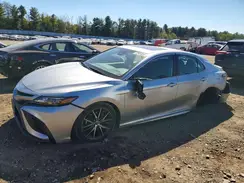 4T1S11AK8PU817498 2023 TOYOTA CAMRY