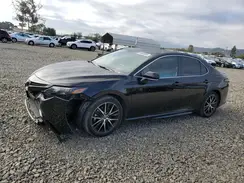 4T1S11AK9PU739426 2023 TOYOTA CAMRY