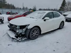 4T1S11BK1PU079560 2023 TOYOTA CAMRY