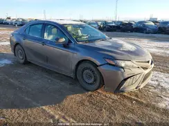 4T1S11BK1PU081101 2023 TOYOTA CAMRY