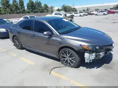 4T1S11BK4PU083148 2023 TOYOTA CAMRY