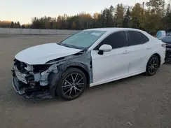 4T1S11BK4PU093064 2023 TOYOTA CAMRY