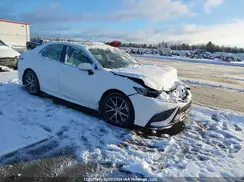 4T1S11BK6PU080316 2023 TOYOTA CAMRY