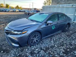 4T1S31AK0MU024380 2021 TOYOTA CAMRY