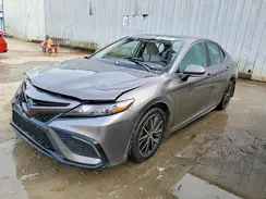 4T1S31AK0RU631581 2024 TOYOTA CAMRY