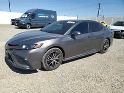 4T1S31AK1PU055965 2023 TOYOTA CAMRY