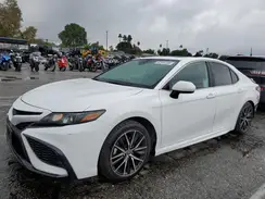 4T1S31AK1PU610333 2023 TOYOTA CAMRY
