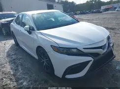 4T1S31AK1PU616861 2023 TOYOTA CAMRY