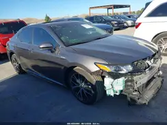 4T1S31AK2MU567195 2021 TOYOTA CAMRY