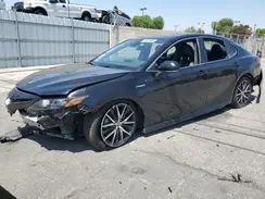 4T1S31AK3MU559638 2021 TOYOTA CAMRY