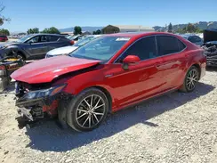 4T1S31AK4MU023264 2021 TOYOTA CAMRY