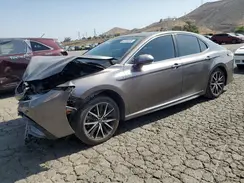 4T1S31AK4MU023569 2021 TOYOTA CAMRY
