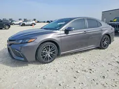 4T1S31AK4PU612559 2023 TOYOTA CAMRY