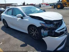 4T1S31AK4PU615056 2023 TOYOTA CAMRY