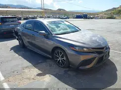 4T1S31AK5MU568163 2021 TOYOTA CAMRY