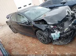4T1S31AK5PU619035 2023 TOYOTA CAMRY
