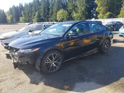 4T1S31AK6RU077317 2024 TOYOTA CAMRY