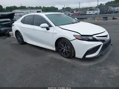 4T1S31AK7MU556659 2021 TOYOTA CAMRY