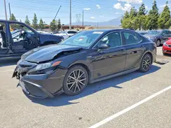 4T1S31AK8MU024174 2021 TOYOTA CAMRY