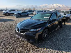4T1S31AK8MU564141 2021 TOYOTA CAMRY