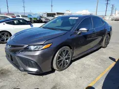 4T1S31AK8PU610409 2023 TOYOTA CAMRY