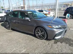 4T1S31AK8PU612158 2023 TOYOTA CAMRY