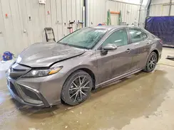 4T1S31AK8PU613942 2023 TOYOTA CAMRY