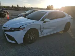 4T1S31AK8PU618302 2023 TOYOTA CAMRY