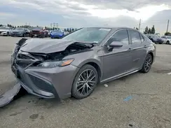 4T1S31AK9PU610984 2023 TOYOTA CAMRY