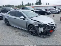 4T1S31AK9PU617384 2023 TOYOTA CAMRY