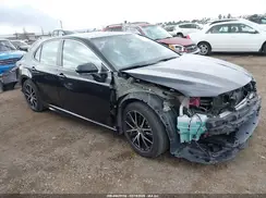 4T1S31AKXPU055477 2023 TOYOTA CAMRY