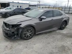 4T1S31AKXPU055821 2023 TOYOTA CAMRY