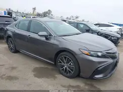 4T1S31AKXRU631135 2024 TOYOTA CAMRY