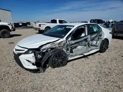 4T1T11AK0PU169207 2023 TOYOTA CAMRY