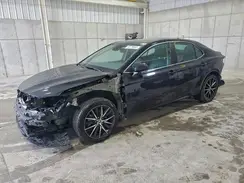 4T1T11AK0PU756216 2023 TOYOTA CAMRY