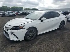 4T1T11AK0PU803454 2023 TOYOTA CAMRY