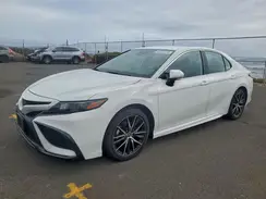 4T1T11AK0RU253496 2024 TOYOTA CAMRY