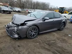 4T1T11AK1PU161438 2023 TOYOTA CAMRY