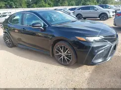 4T1T11AK1PU731373 2023 TOYOTA CAMRY