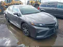 4T1T11AK1PU761070 2023 TOYOTA CAMRY