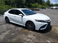 4T1T11AK1PU791704 2023 TOYOTA CAMRY