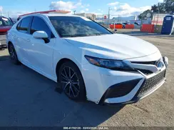 4T1T11AK1PU798331 2023 TOYOTA CAMRY