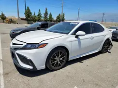 4T1T11AK1PU839542 2023 TOYOTA CAMRY