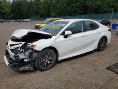 4T1T11AK1RU266080 2024 TOYOTA CAMRY