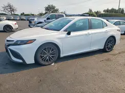 4T1T11AK1RU844100 2024 TOYOTA CAMRY